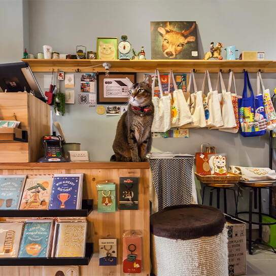 Cat Socrates Souvenirs shop